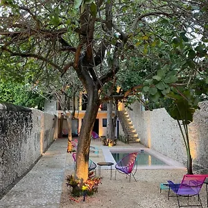  Appart hôtel Hotelito Yum Kaax